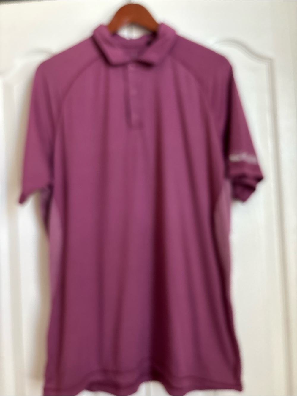 Antigua Men's Polo Shirt in Plum